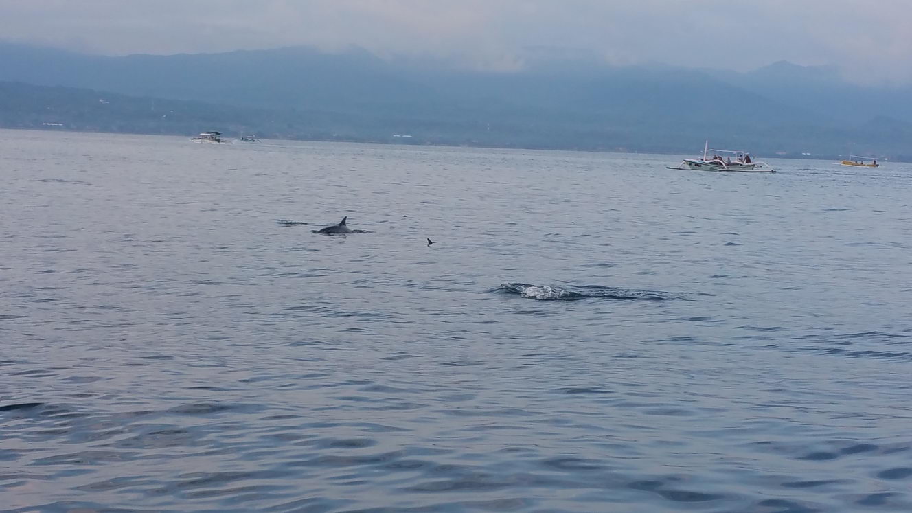 20160207 065029 (2016 10 02 16 07 39 UTC)